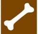 Bone Health Bone Health