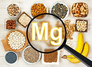 Magnesium: A Chief Player in the Body's Internal Clocks