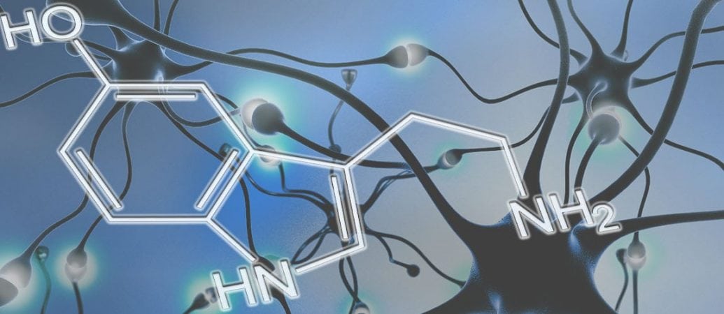 5 htp shows new promise for alleviating symptoms of serotonin deficiency 2