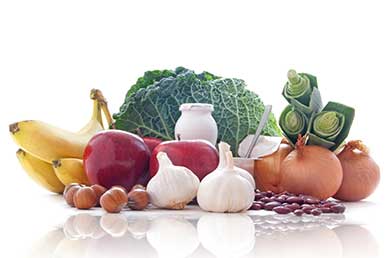 The Health Benefits of Prebiotics 1