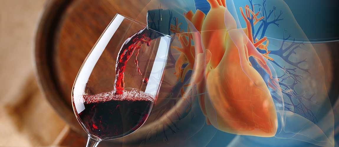 Red Wine Compound Resveratrol May Protect Lungs and Respiratory Health