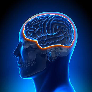 Melatonin May Protect Against Neurological Disease Via Its Effect on Blood Brain Barrier