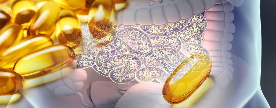 Omega-3 and Gut Health: How Fatty Acids Encourage Bacterial Diversity