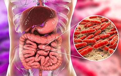 Gut Bacteria Influence Diabetes Risk 1