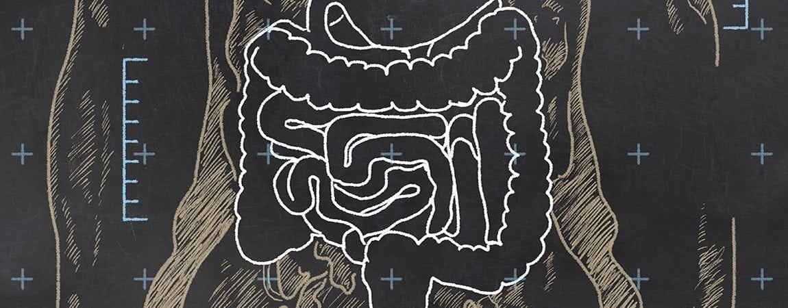 New Study Discovers Gut Bacteria Protect Against Sepsis and Other Serious Infections