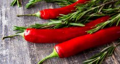 new study suggests capsaicin fights obesity 5