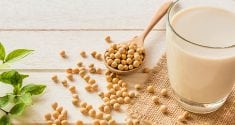new study supports connection between dietary soy and bone strength 2