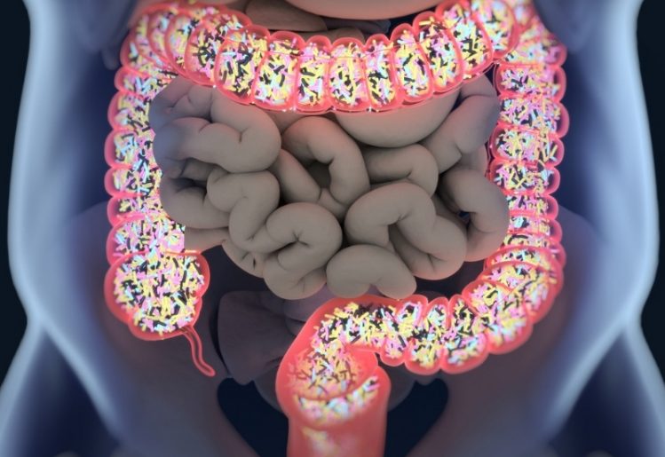 The Unlikely Connection Between Gut Bacteria and Mental Disorders 1