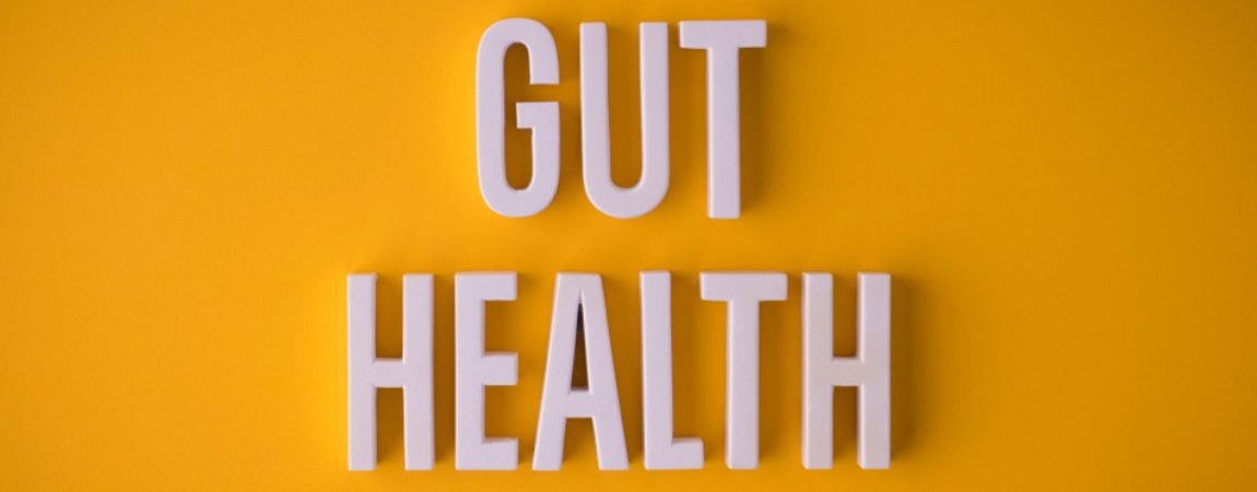 Scientists Probe New Link Between Gut Health and Chronic Disease