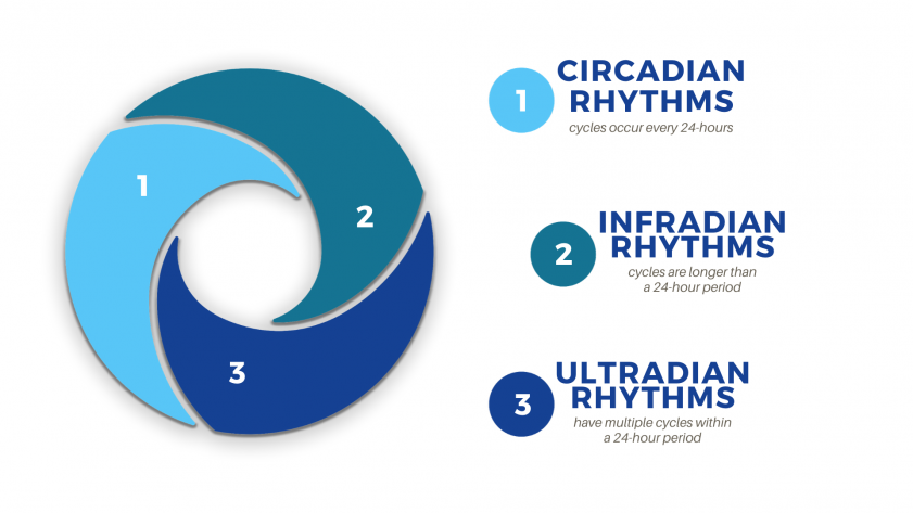 About Chronobiology