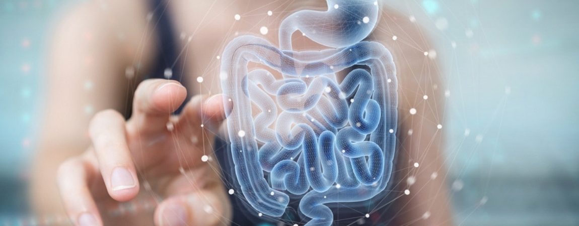 The Latest Updates in Gut Health Research
