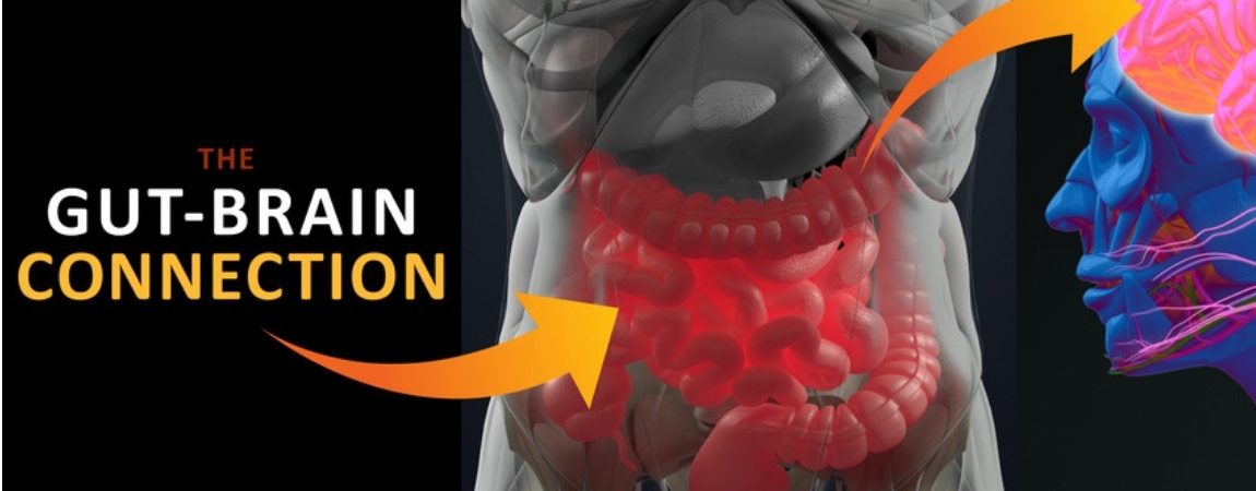 New Insights Into the Gut-Brain Connection