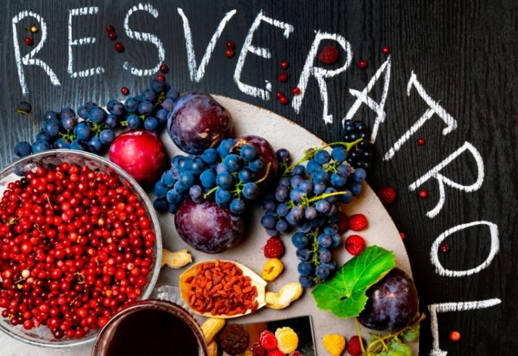 Resveratrol und Kalorienbeschränkung: Kann eine Pflanzenverbindung die Lebenserwartung beeinflussen? 1