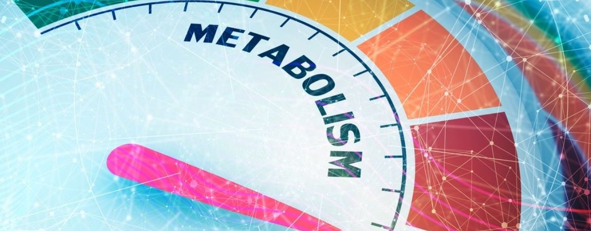 Taking Melatonin Regularly May Fight Obesity and Diabetes
