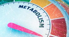 Taking Melatonin Regularly Fights Obesity and Diabetes 2