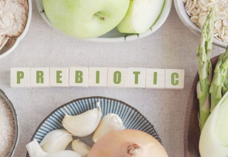 New Study Demonstrates How Prebiotics Help Regulate Circadian Rhythm 1