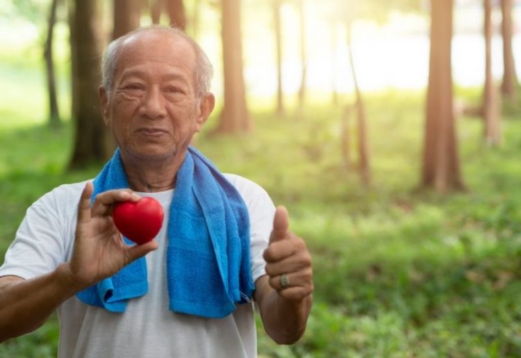 Japanese Knotweed Root Extract Could Reduce Cancer Risk of Processed Meat