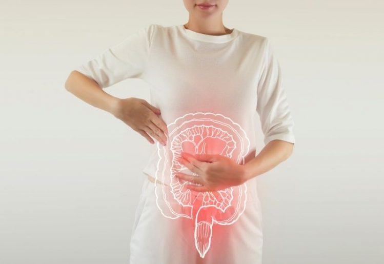 Probiotics and Mental Health: Examining the Gut-Brain Connection 1