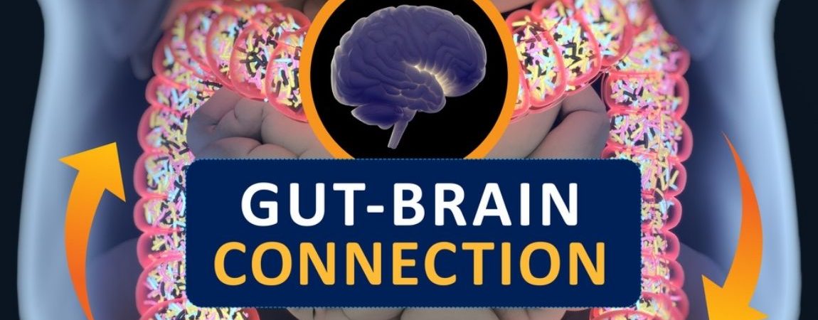 Probiotics and Mental Health: Examining the Gut-Brain Connection