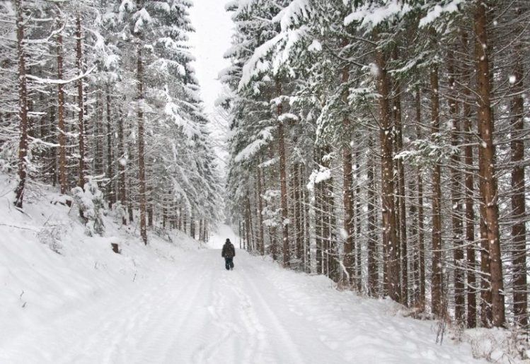 Why Exercising in Winter Burns More Fat and Calories 1