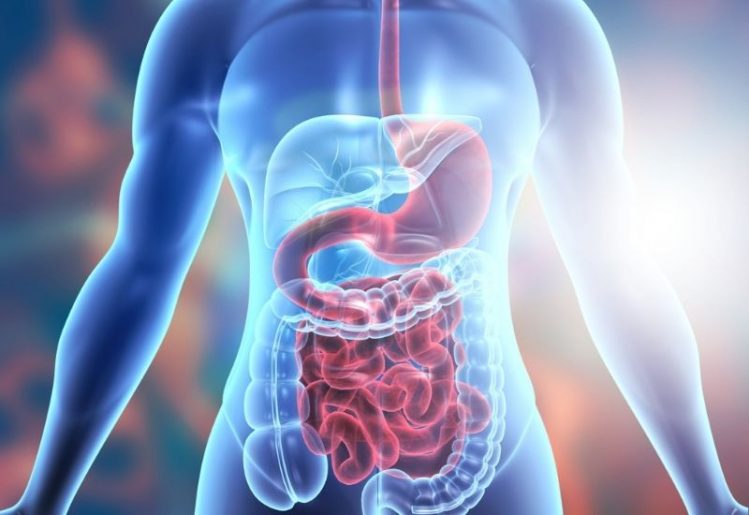 5 Symptoms of an Unhealthy Gut and What You Can Do to Heal 1