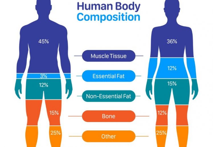 Fact or Fiction: Men Lose Weight Faster Than Women