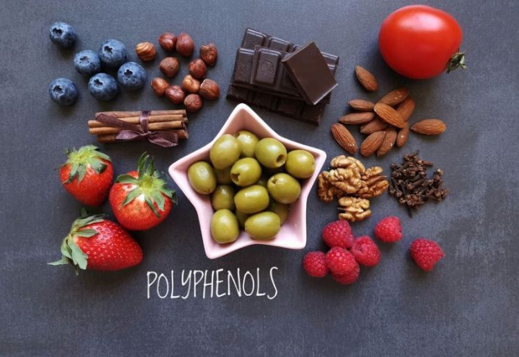 Polyphenols Reduce Inflammation, Offering a Possible Option to Dangerous Drugs 1