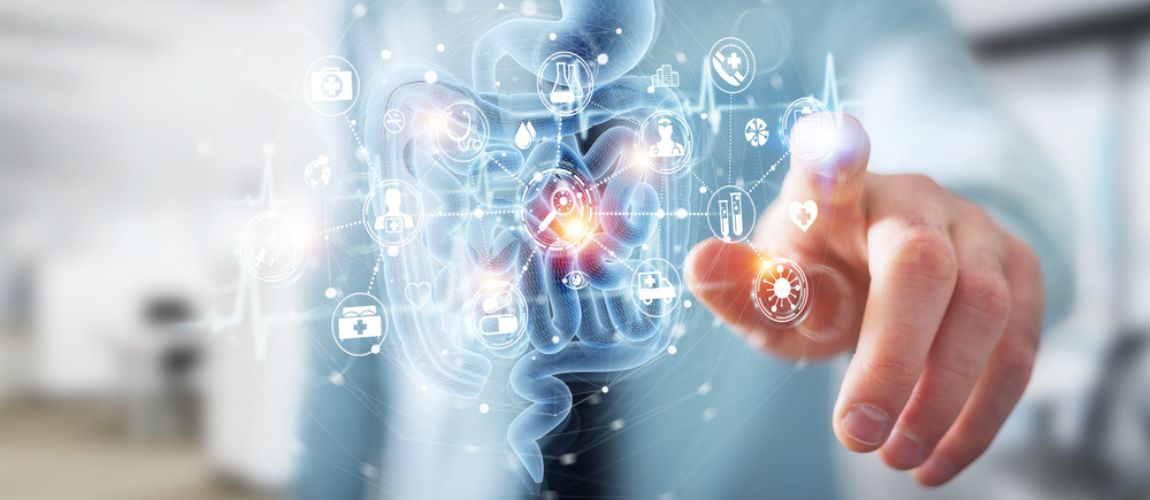 7 Ways to Cultivate a Healthy Gut Microbiome - Chronoceuticals.com