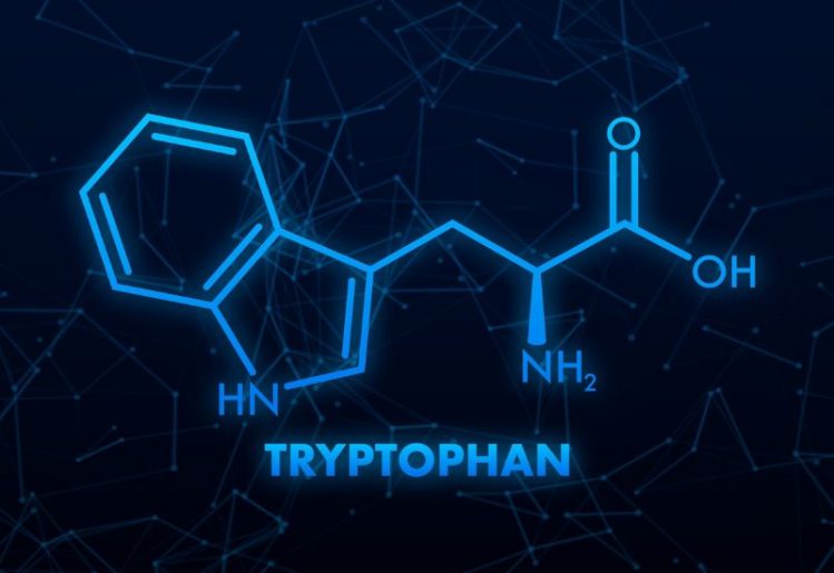 How Tryptophan Deficiency Affects Mood, Memory and More 1