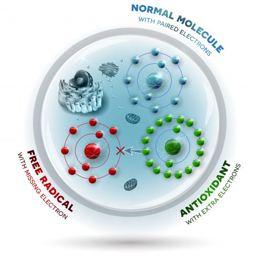 The Health Benefits of Antioxidants 2